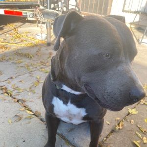 Meet your Posher, Robert